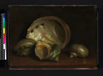 Coquillages, 1907
